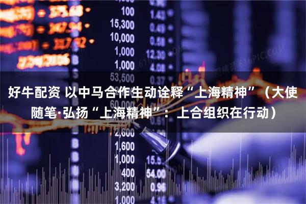 好牛配资 以中马合作生动诠释“上海精神”（大使随笔·弘扬“上海精神”：上合组织在行动）