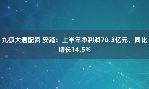 九狐大通配资 安踏：上半年净利润70.3亿元，同比增长14.5%