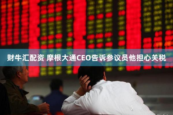 财牛汇配资 摩根大通CEO告诉参议员他担心关税